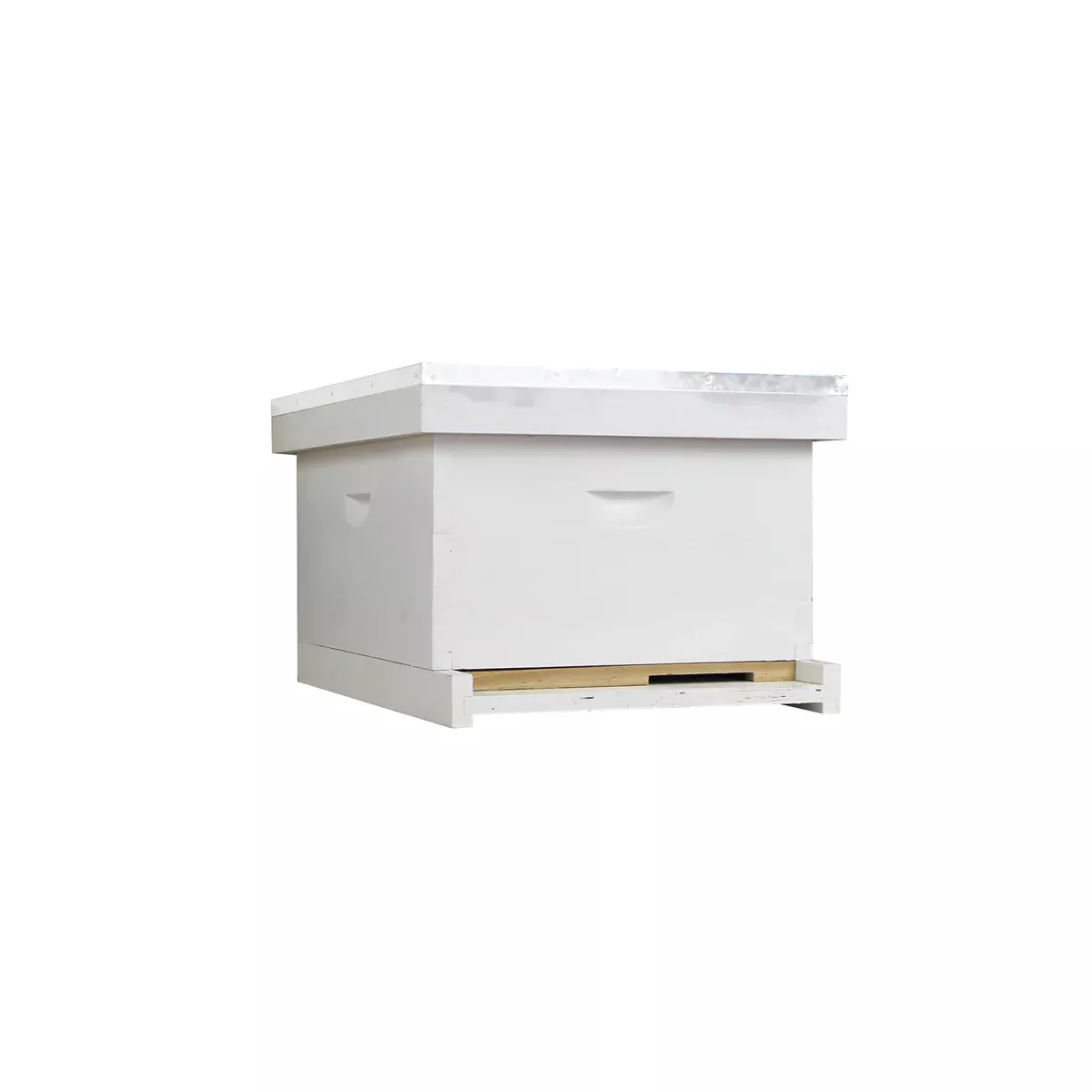 10-Frame Complete Beehive Kit, Painted, 1 Deep Box