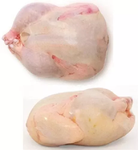 11x18 Poultry Shrink Bags for Freezer