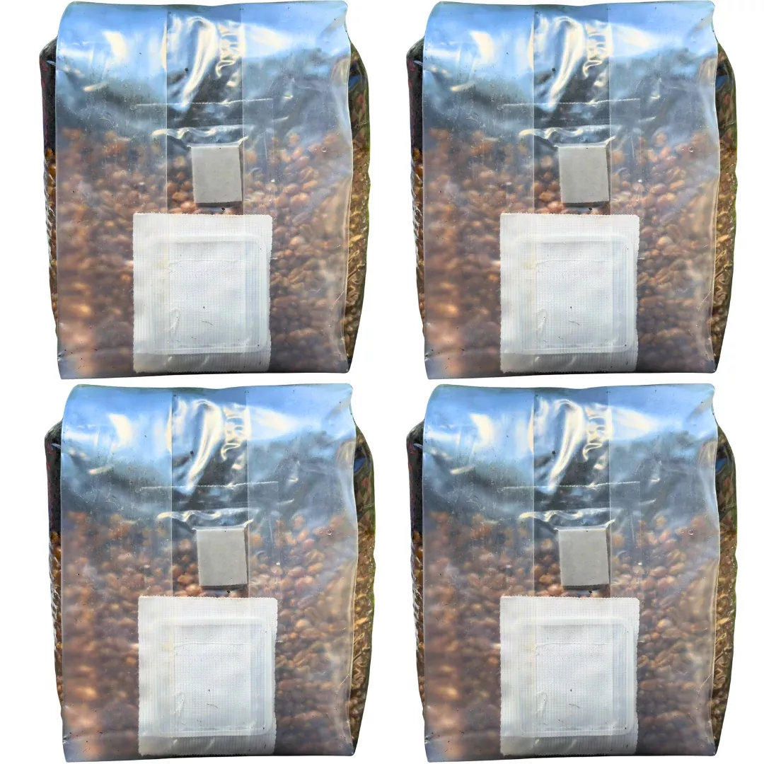4-Pack All-In-One Mushroom Grow Bags