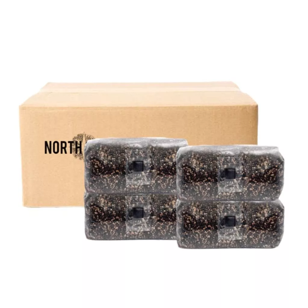 4-Pack 'ShroomTek' All-in-One Mushroom Grow Bag