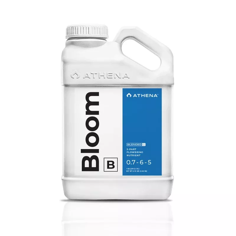 Athena Bloom B- 1 Gallon