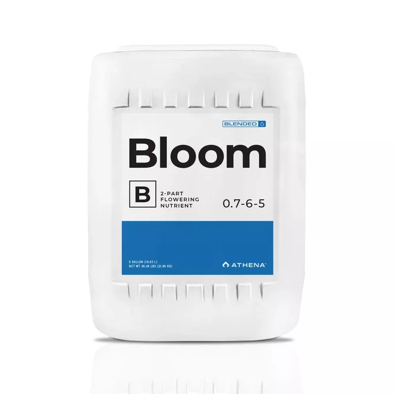 Athena Bloom B, 5 Gallon