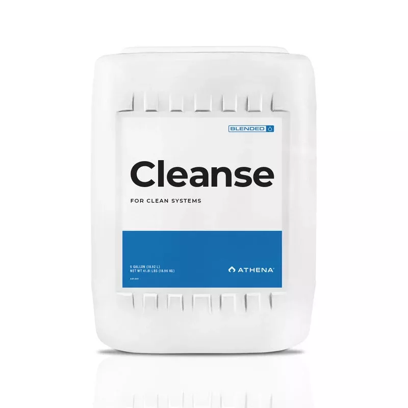 Athena Cleanse, 5 Gallon