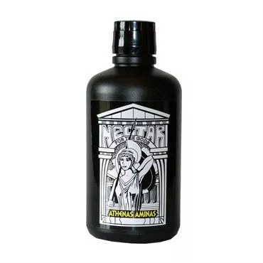 Athena's Aminas