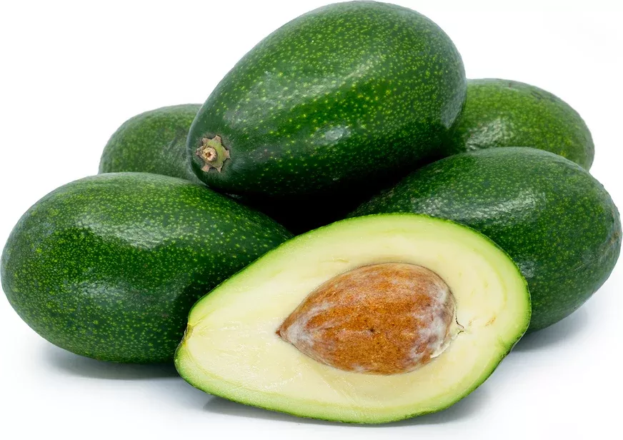 Avocado-Bacon Tree Type B