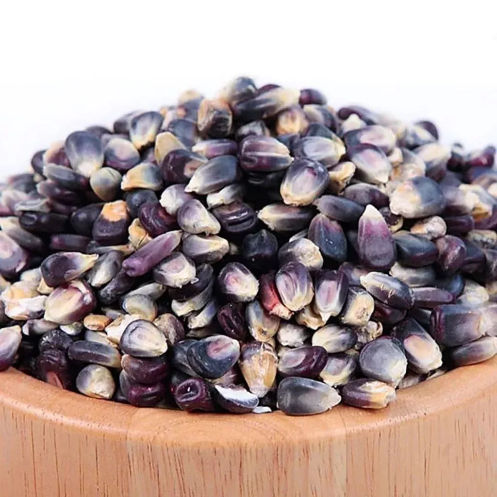 BAS Blue Corn Seed, 2.5 lb