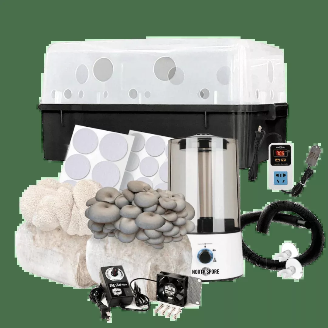 Beginner Automated 'Boomr Bin' + Fruiting Blocks Monotub Mushroom Grow Kit