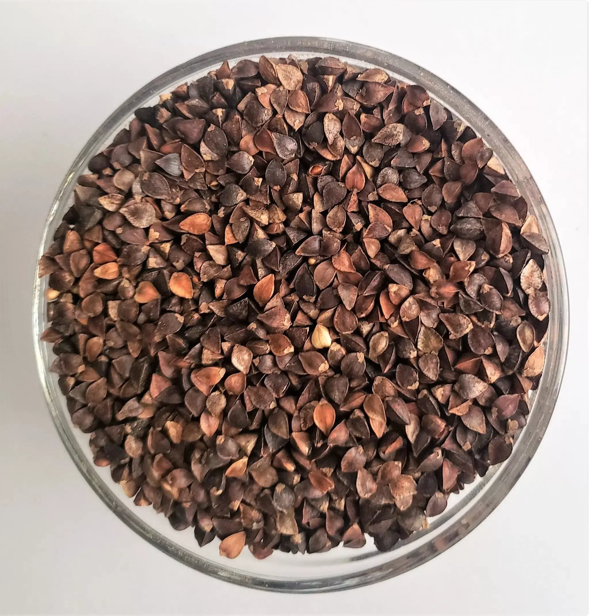 Buckwheat seeds OG — The Soil Makers