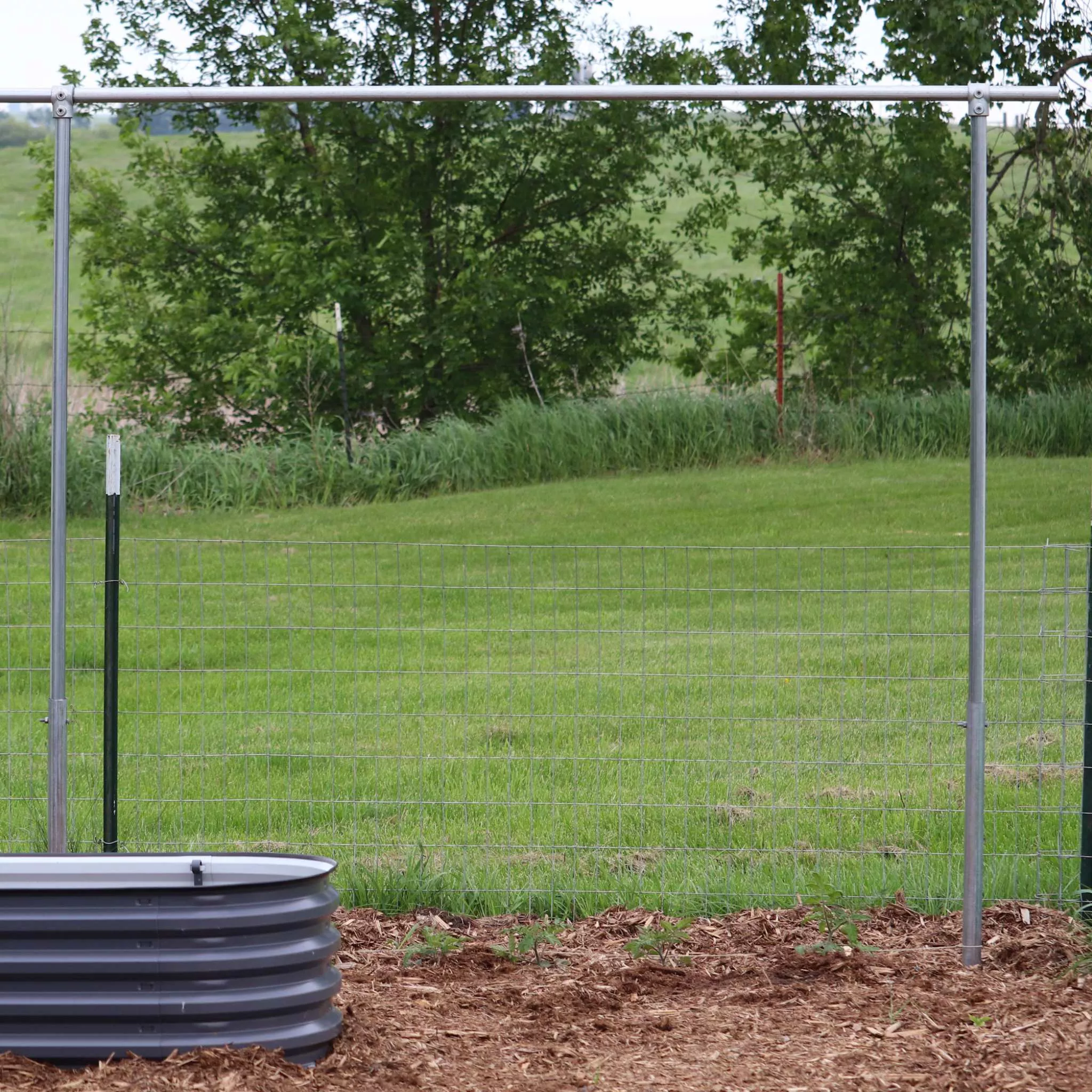 DIY Tomato Trellis