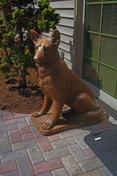 German Shepherd