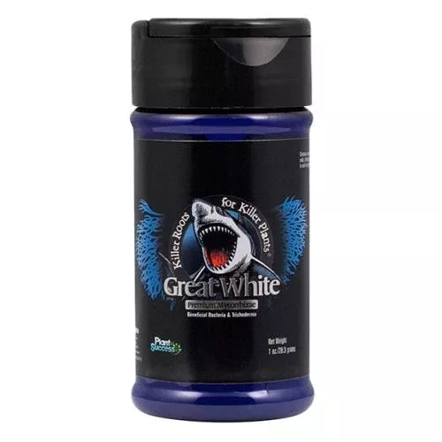 Great White
