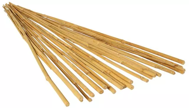 GROW!T 2' Bamboo Stakes, pack of 25