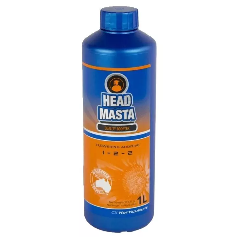 Head Masta