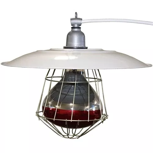Industrial Chick Brooder Lamp Fixture