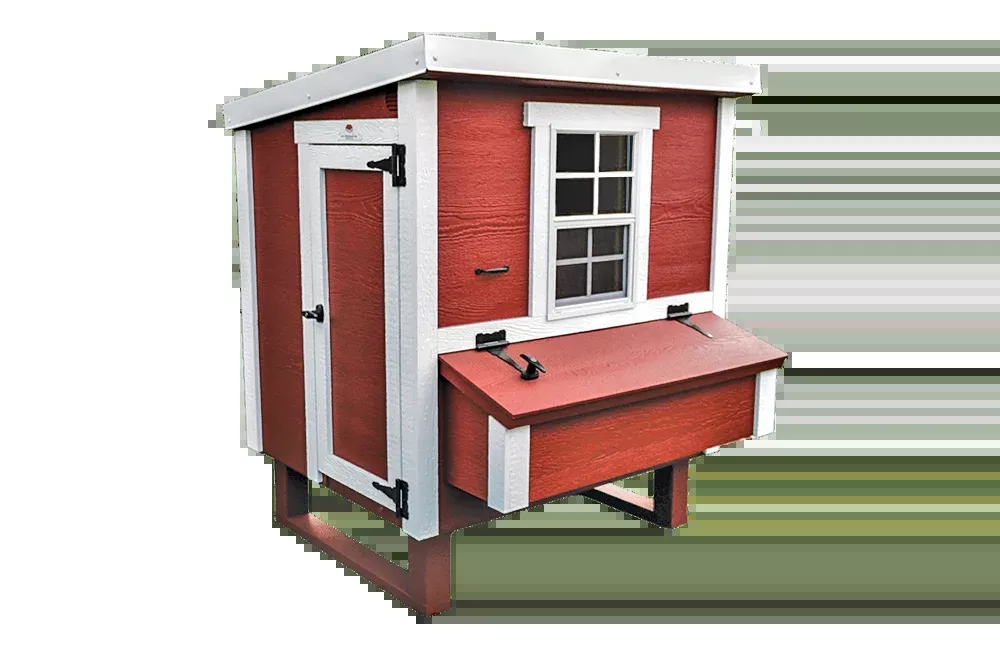 Medium Chicken Coop, Up to 10 Chickens