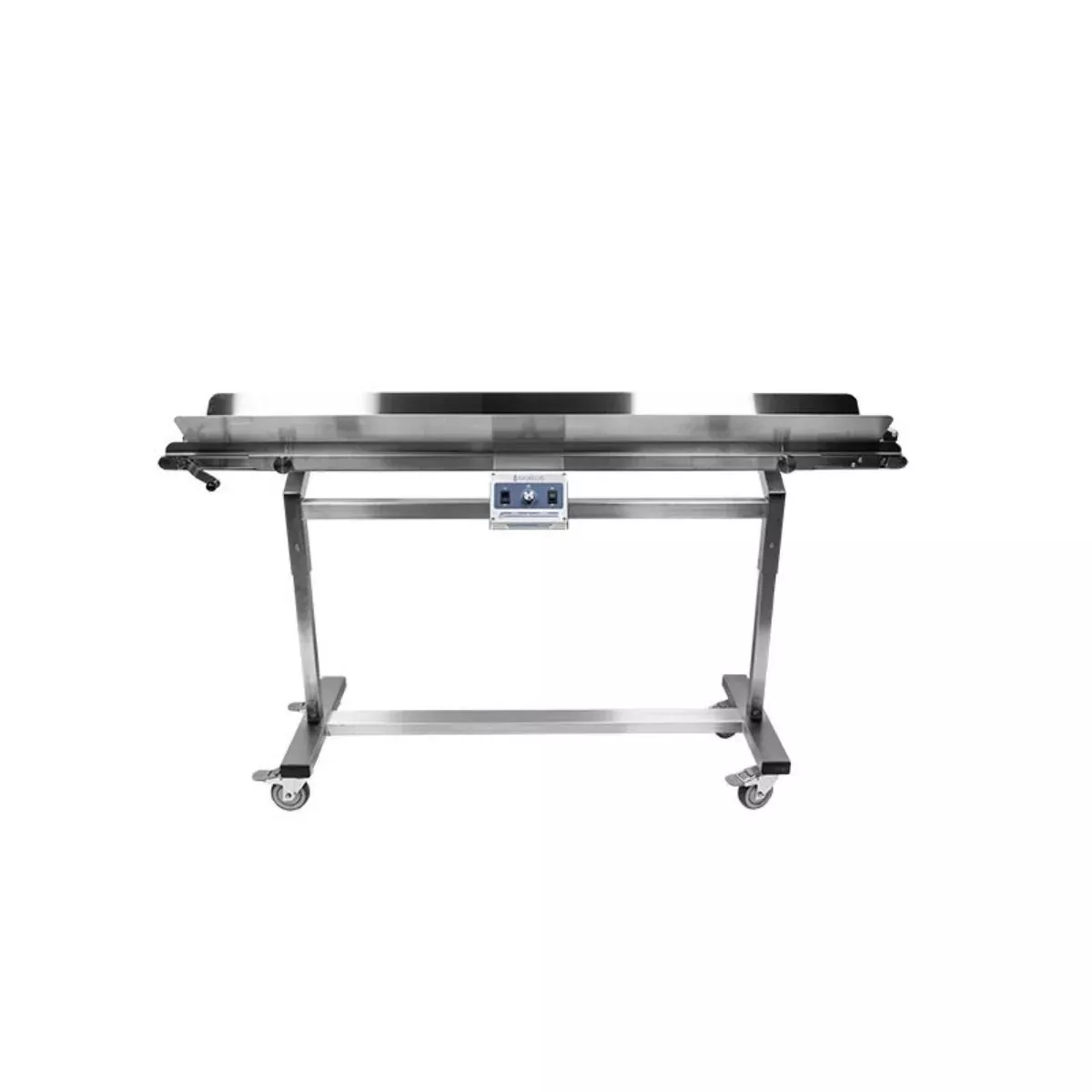 Mobius Infeed Conveyor