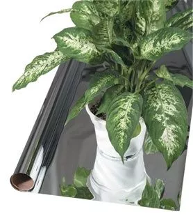 Mylar 2 mil