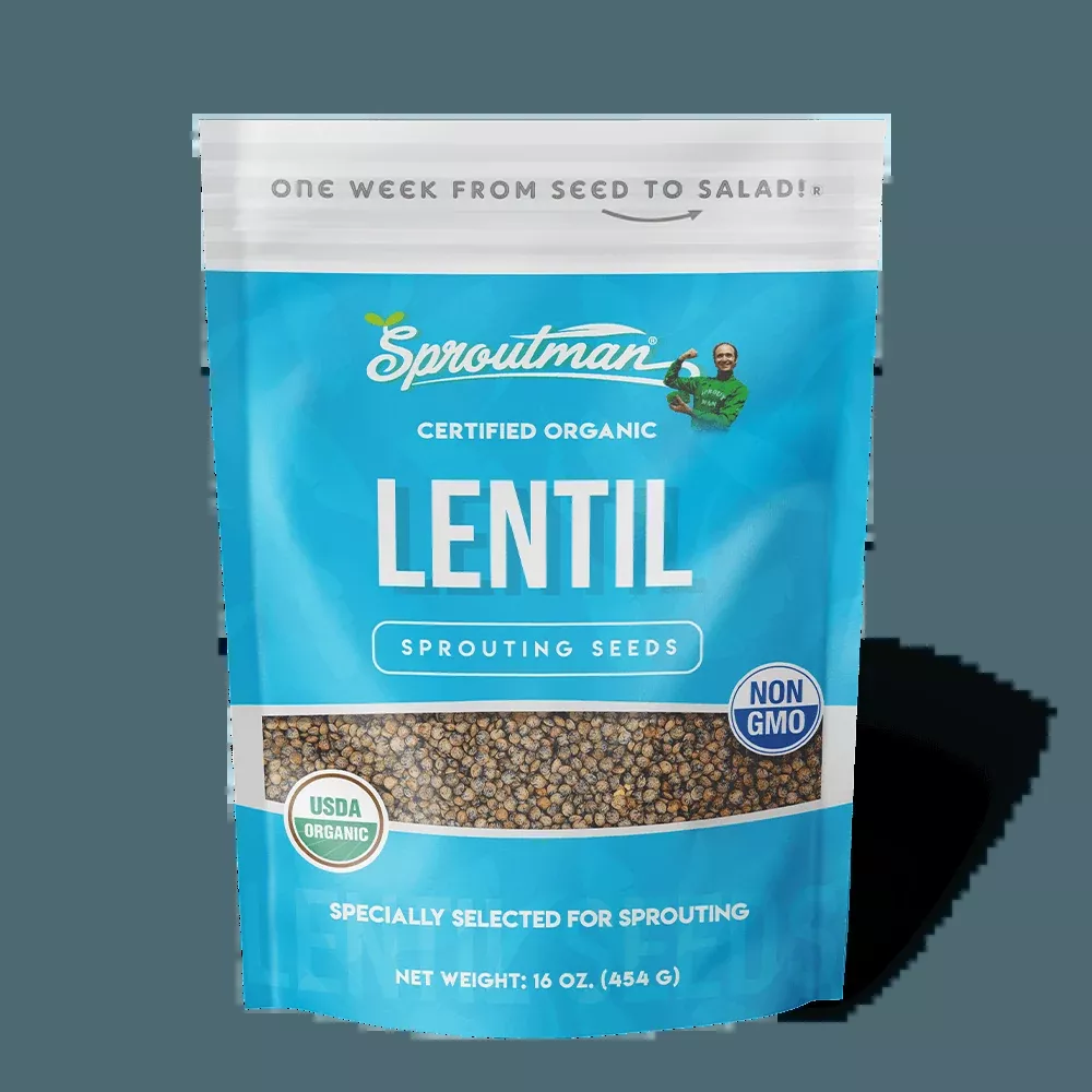 Organic Lentil Sprouting Seed