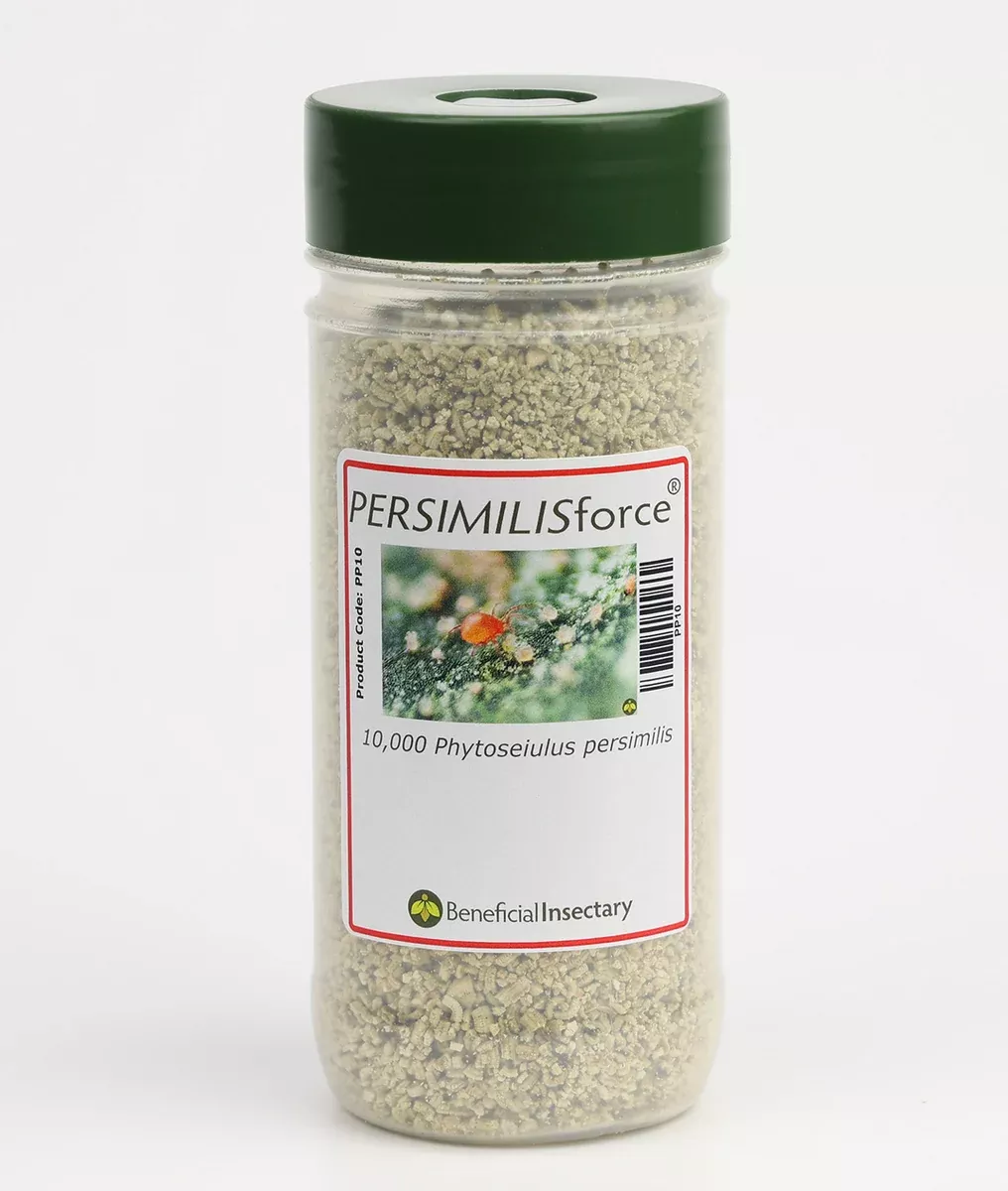 Persimilis (PERSIMILISforce™)