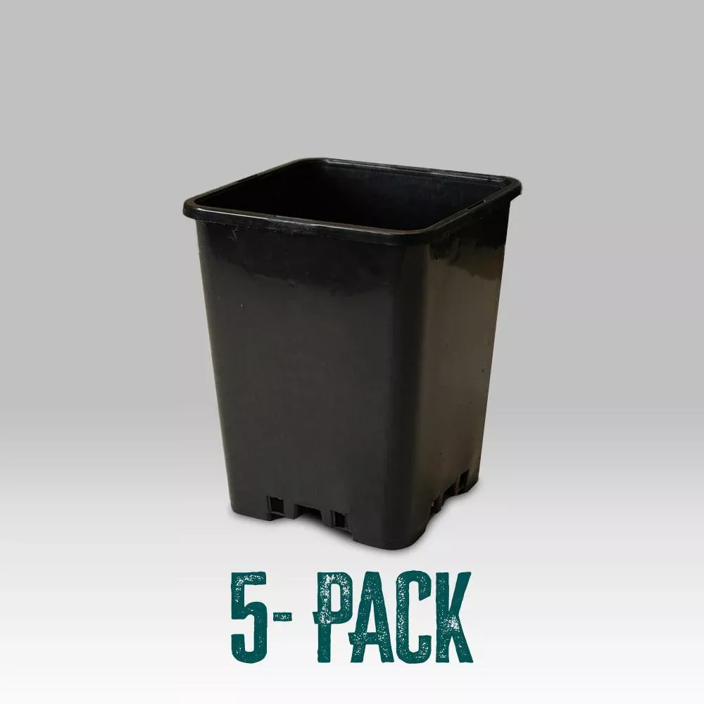 Plastic plant Pot, Square 4L