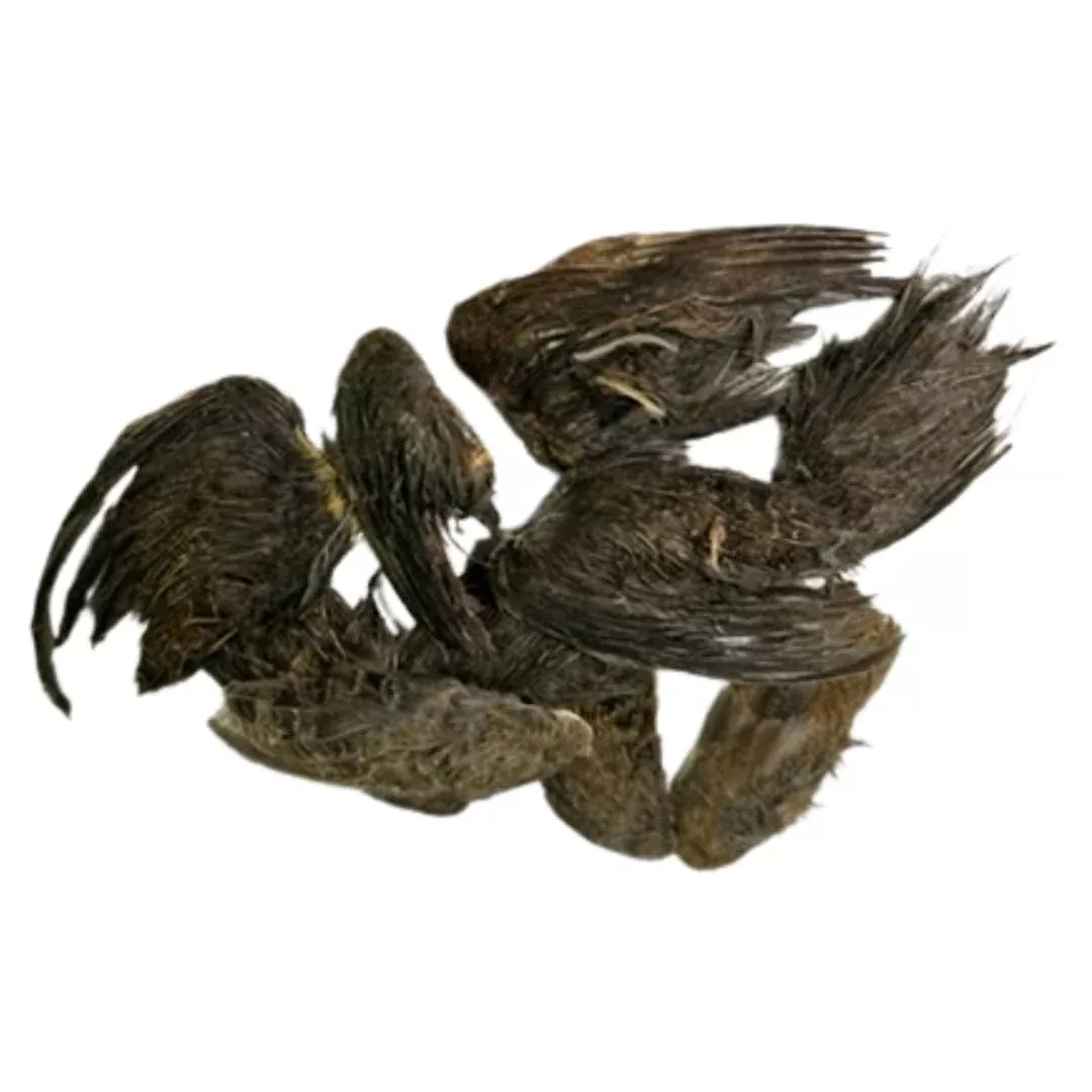 Quail Wings for Dog Training, Small 10-Count