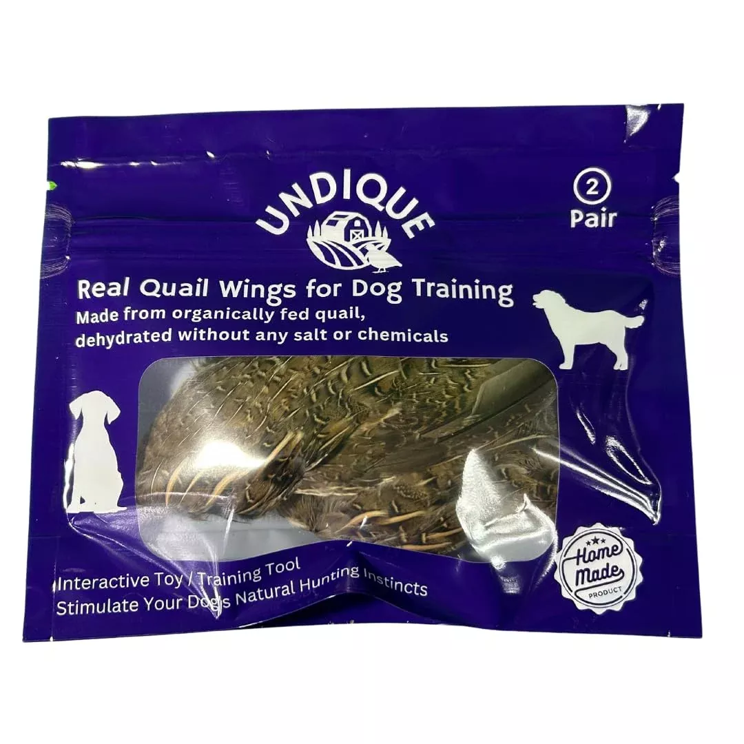 Real Quail Wings for Dog Training, 2 Pair