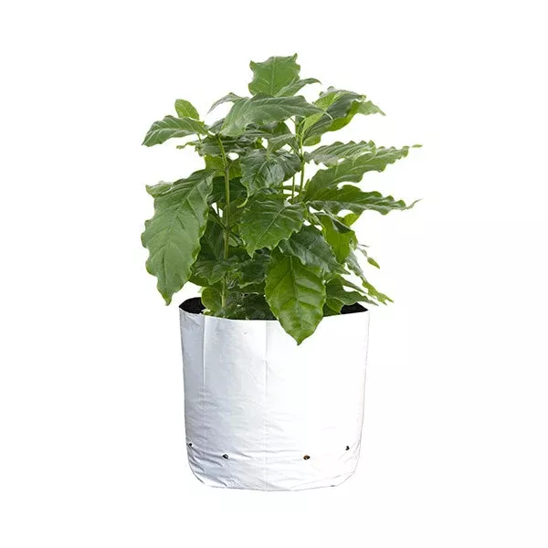 Sungrower Black and White Grow Bag (5 Gallon), 25 Count