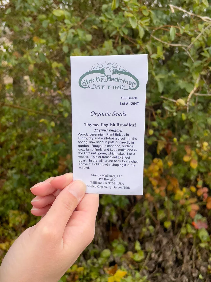 Thyme Seeds