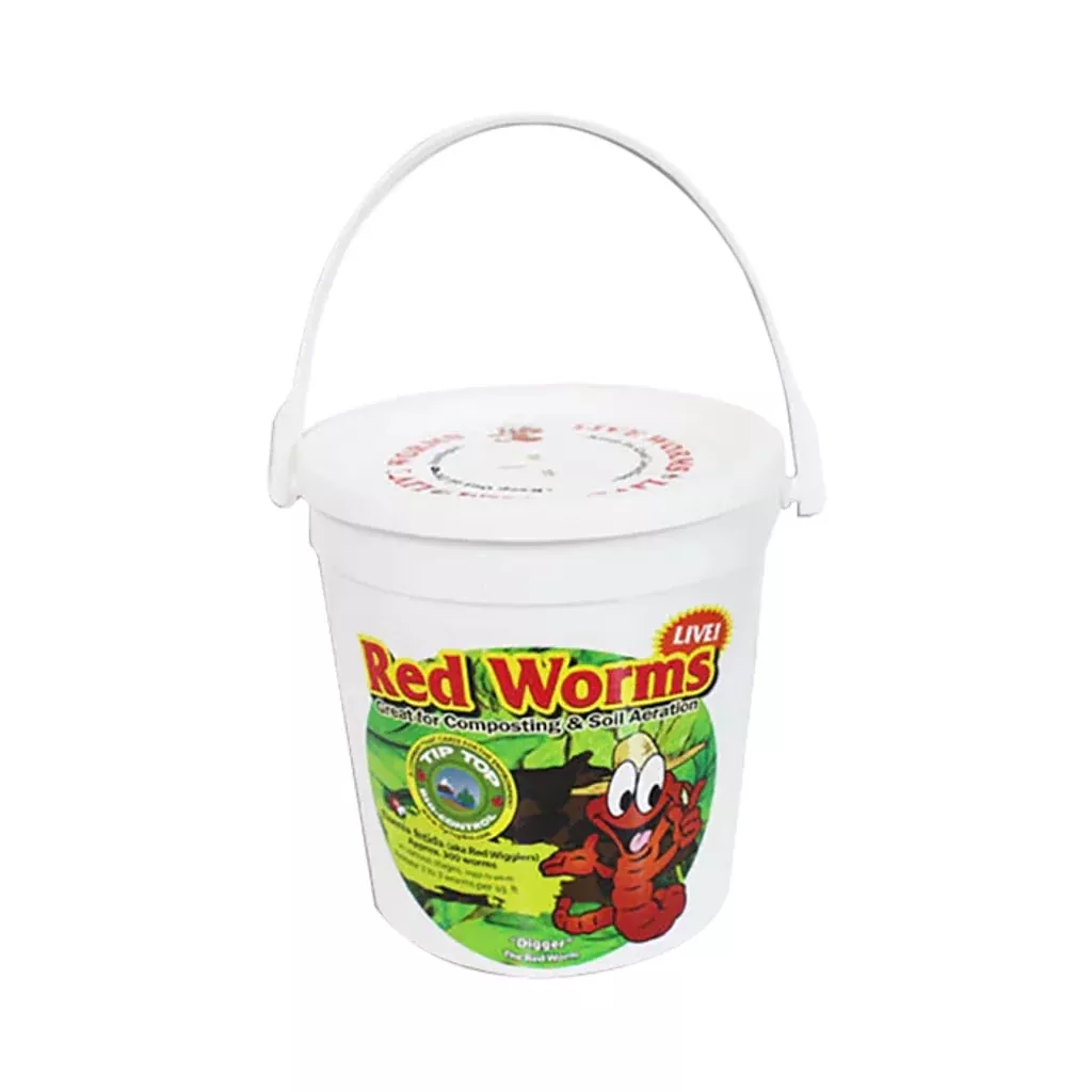Tip Top Red Wigglers 200 Count
