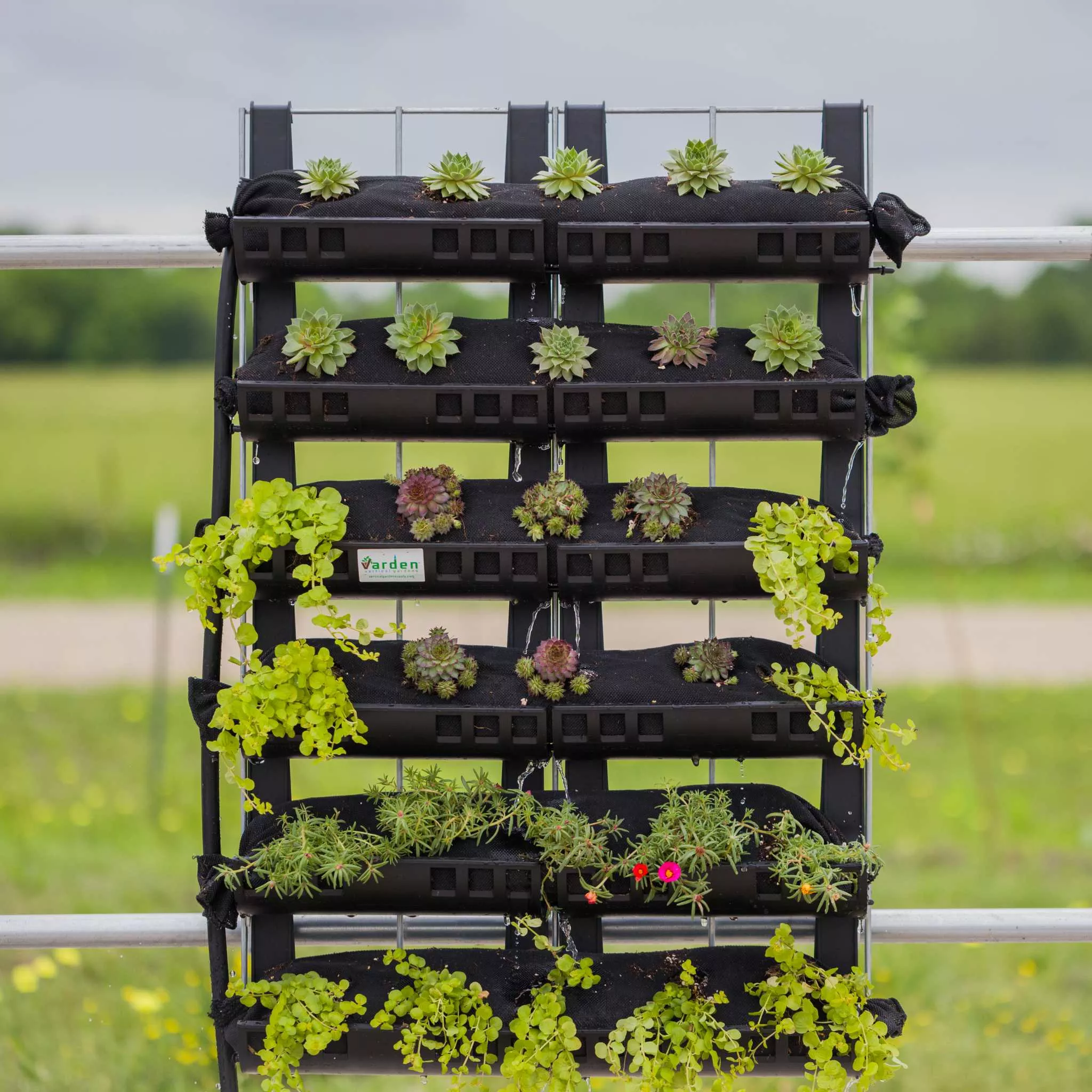 Varden Kitchen Garden