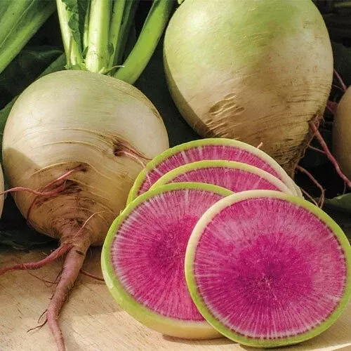 Watermelon Radish Seeds