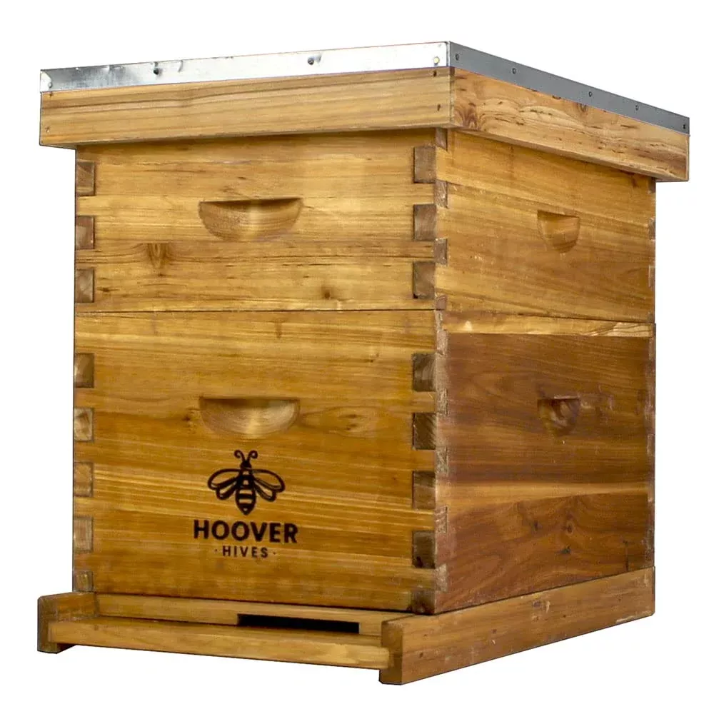 Wax-Coated 8-Frame Beehive, 1 Deep & 1 Medium