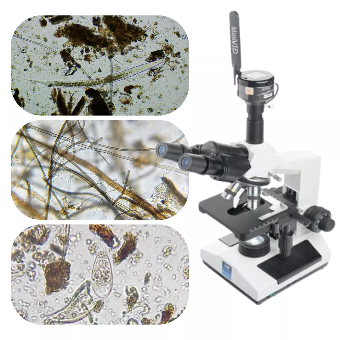 Worm Casting Microbiology Testing