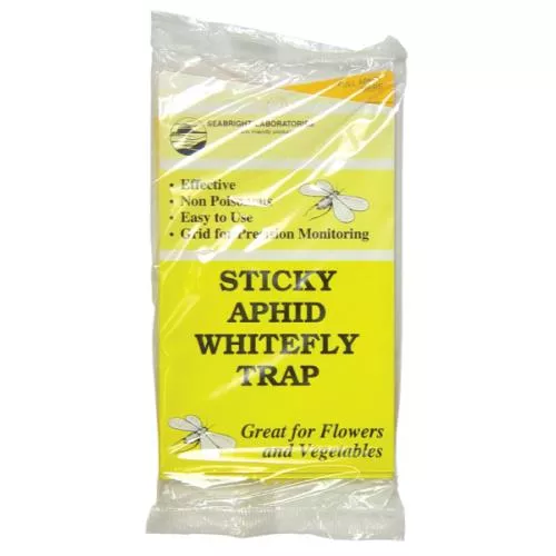 Yellow Sticky Trap 5 Pack