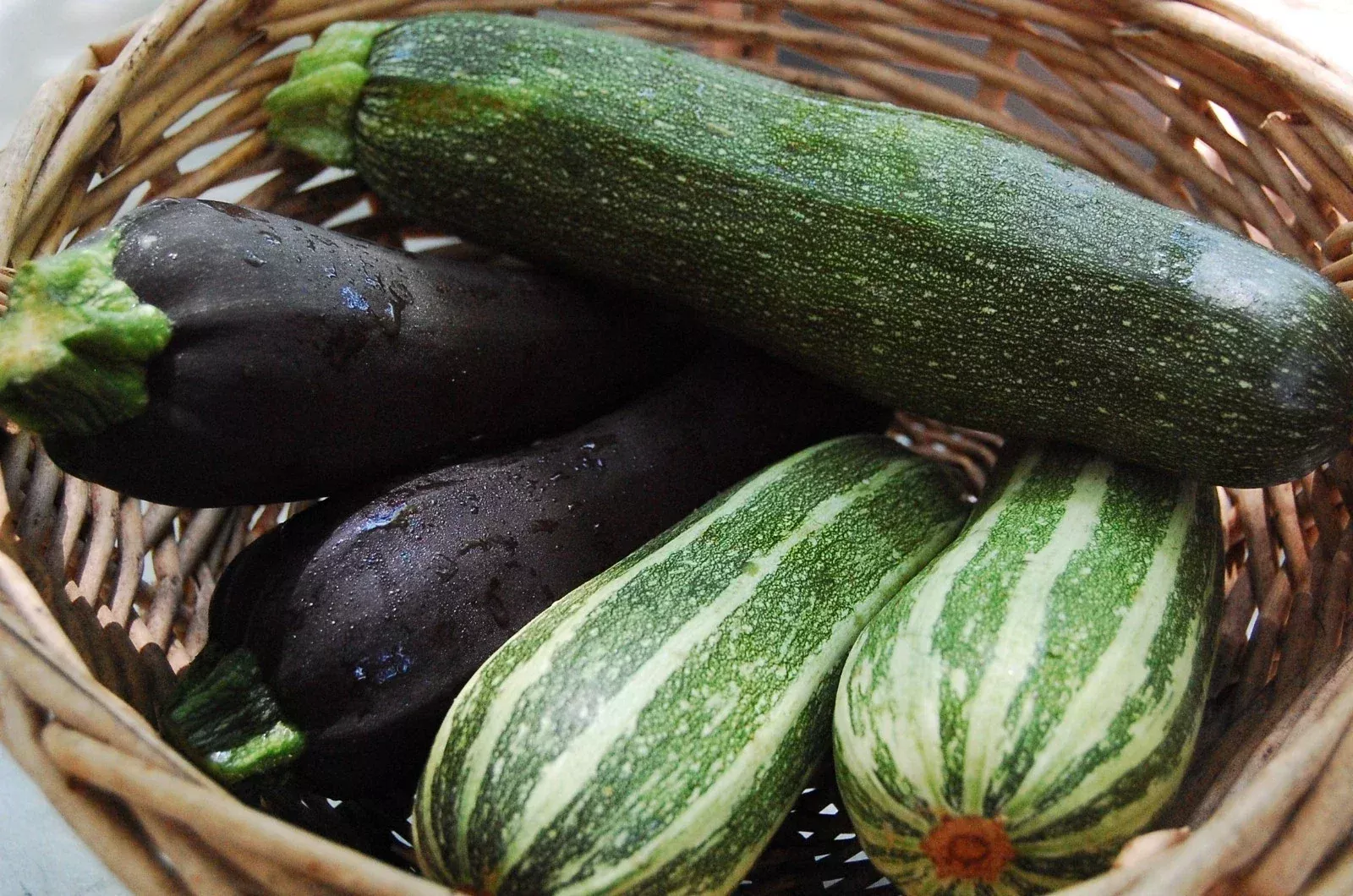 Zucchini Seeds Mix